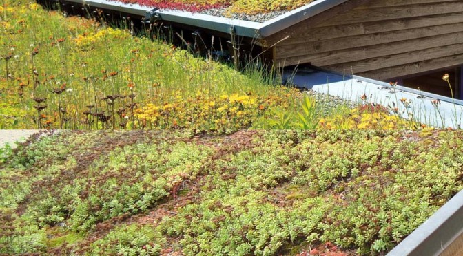 Carport mit Dachbegrünung / Pflanzen